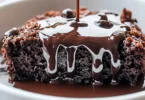 A delicious Hot Fudge Chocolate Pudding Cake topped with rich chocolate sauce.
