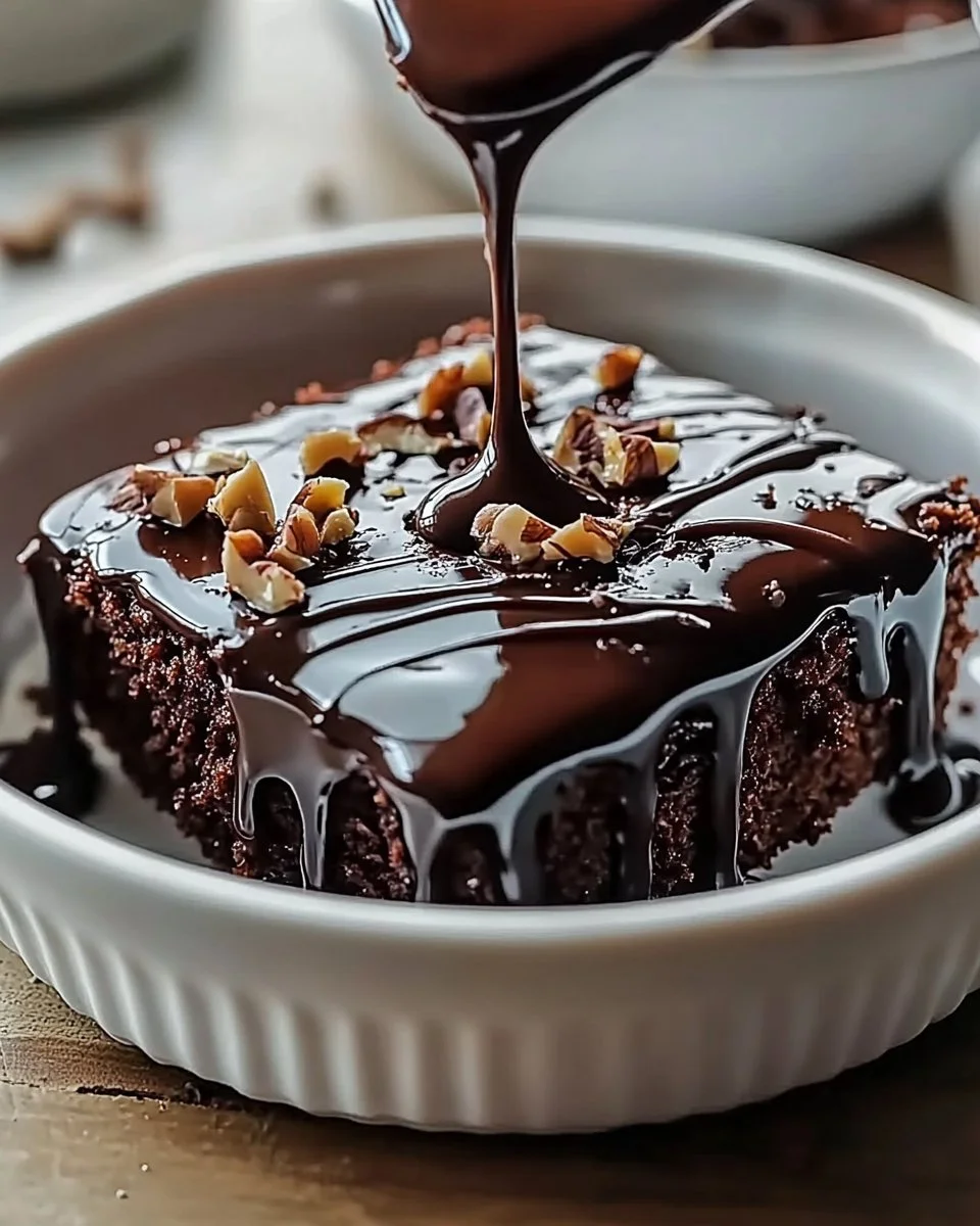 Hot Fudge Chocolate Pudding Cake