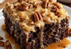 German Chocolate Poke Cake with caramel pecan frosting